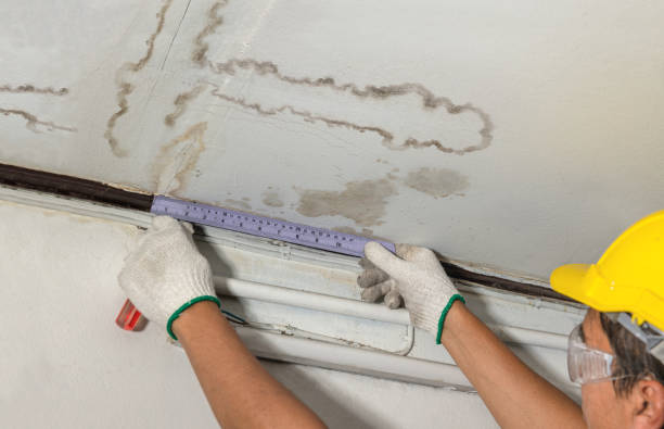 Reliable Flood Cleanup contractor in Fenton, MI by Water Damage Irwin